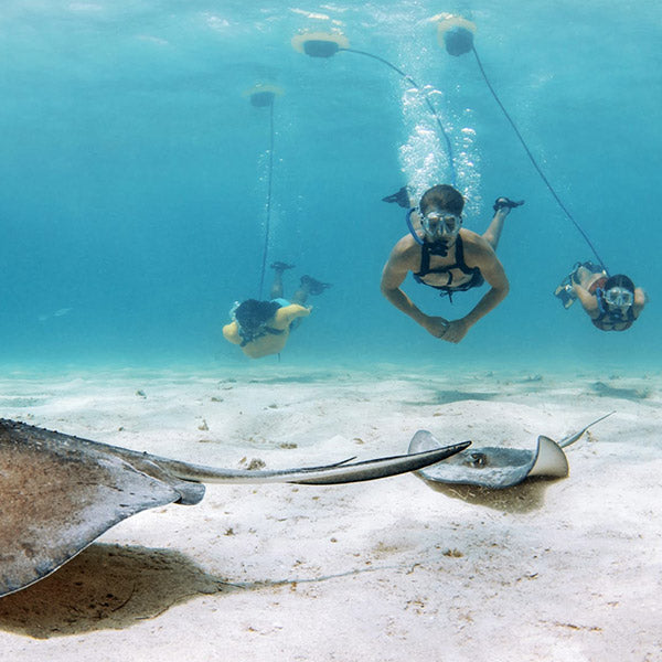 Start the New Year with a Diving Adventure to Remember!