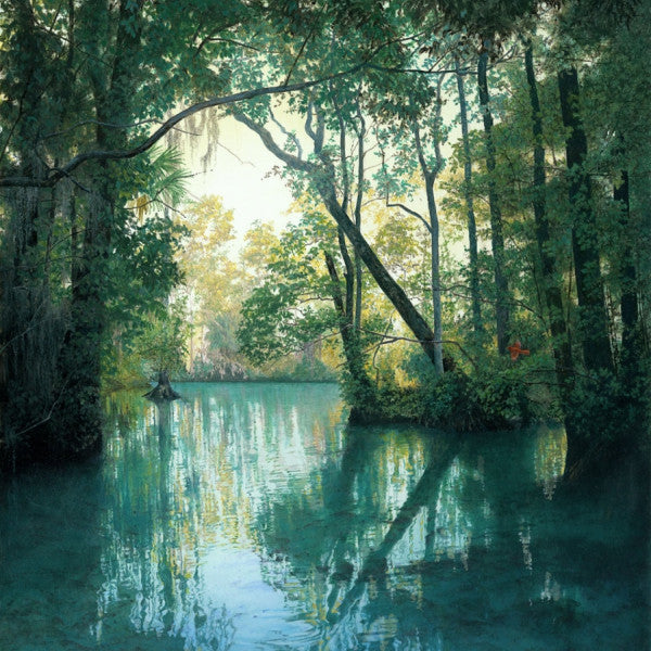 Top 3 Metal Detectors for Swamps and All Terrain Hunting