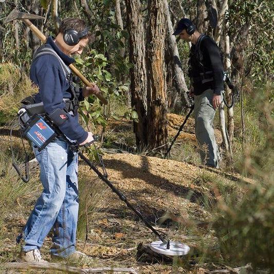 What is a Pulse Induction Metal Detector?