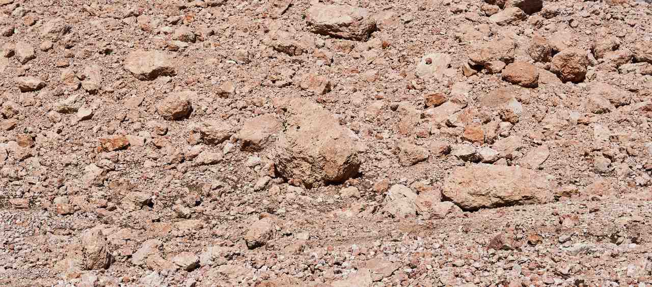mineralized soil