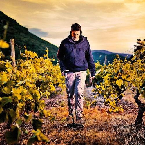 XP Deus II Full Metal Detector with 11" FMF Search Coil + Remote Control and WS6 Headphones