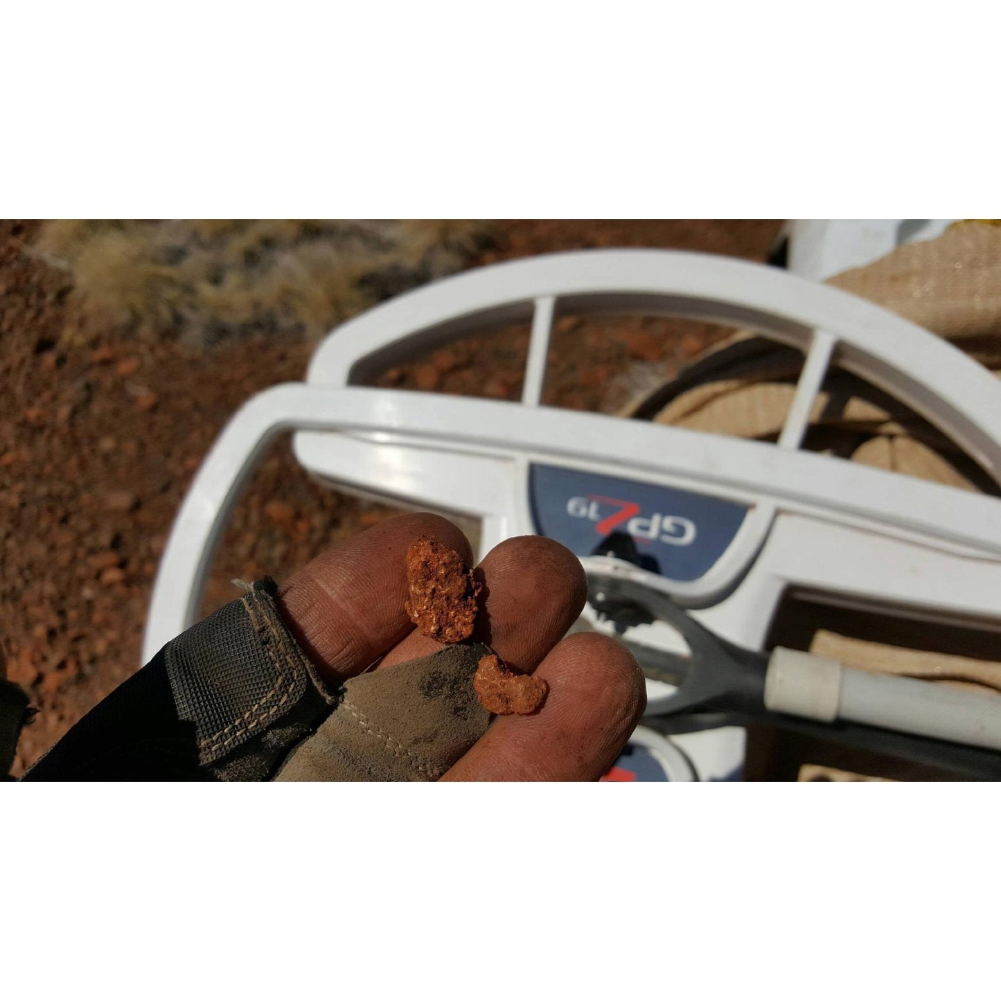Minelab GPZ 19 Search Coil For Minelab GPZ 7000